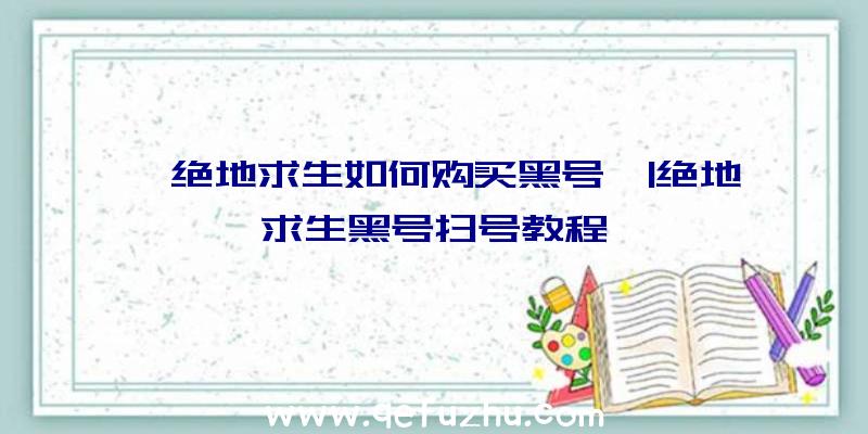 「绝地求生如何购买黑号」|绝地求生黑号扫号教程